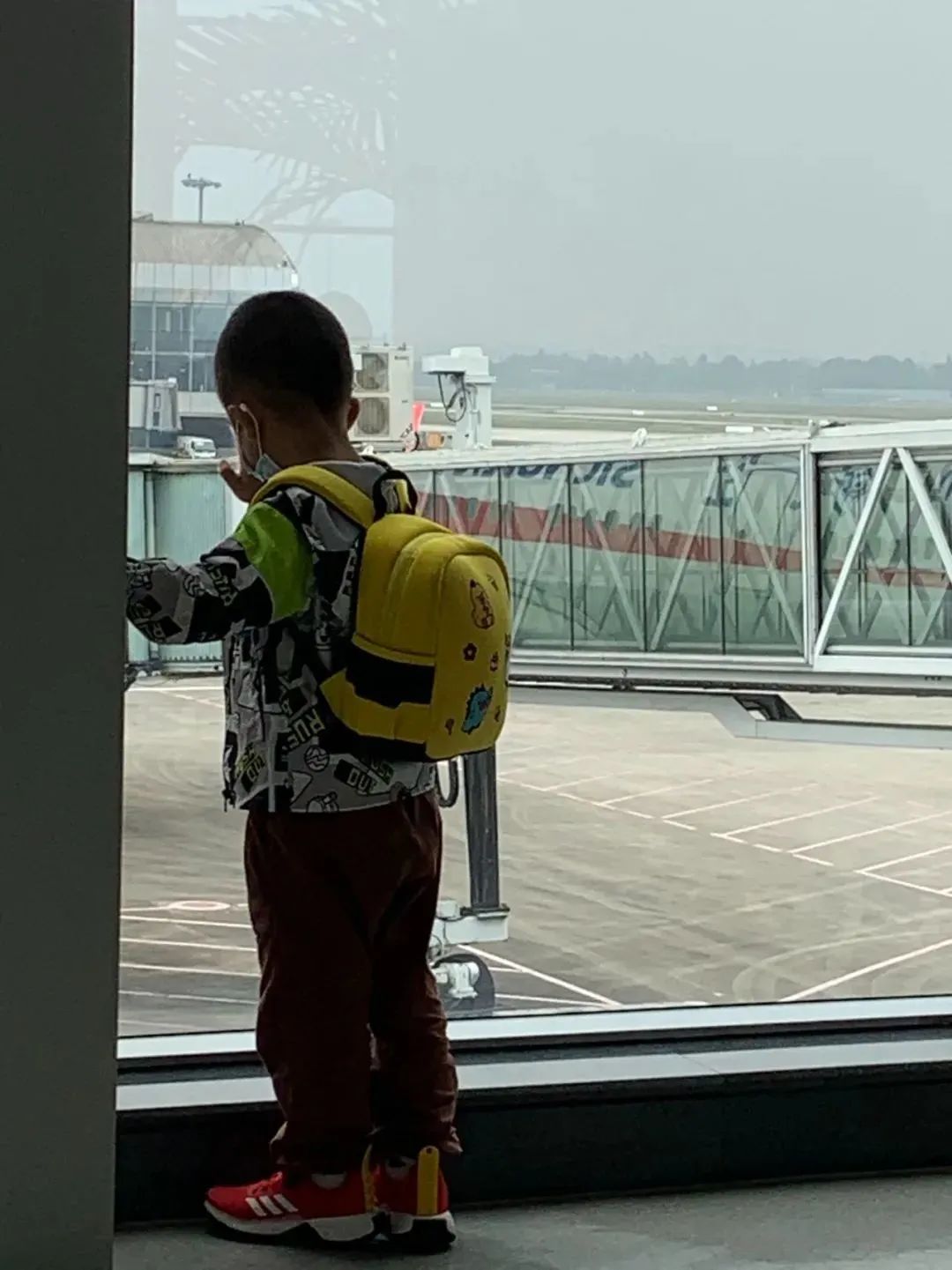 这次疫情带孩子去国外留学,因为疫情导致儿子没能回澳洲留学