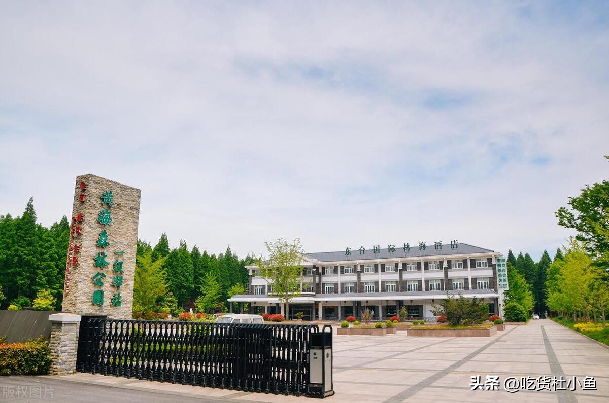 真正的江苏盐城有什么特产,盐城最出名的特产有哪些