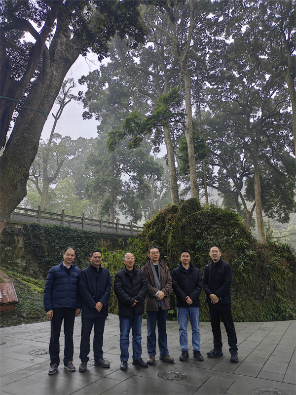 荥经云峰寺“飞来石”的搬运工是唐朝名将韦皋