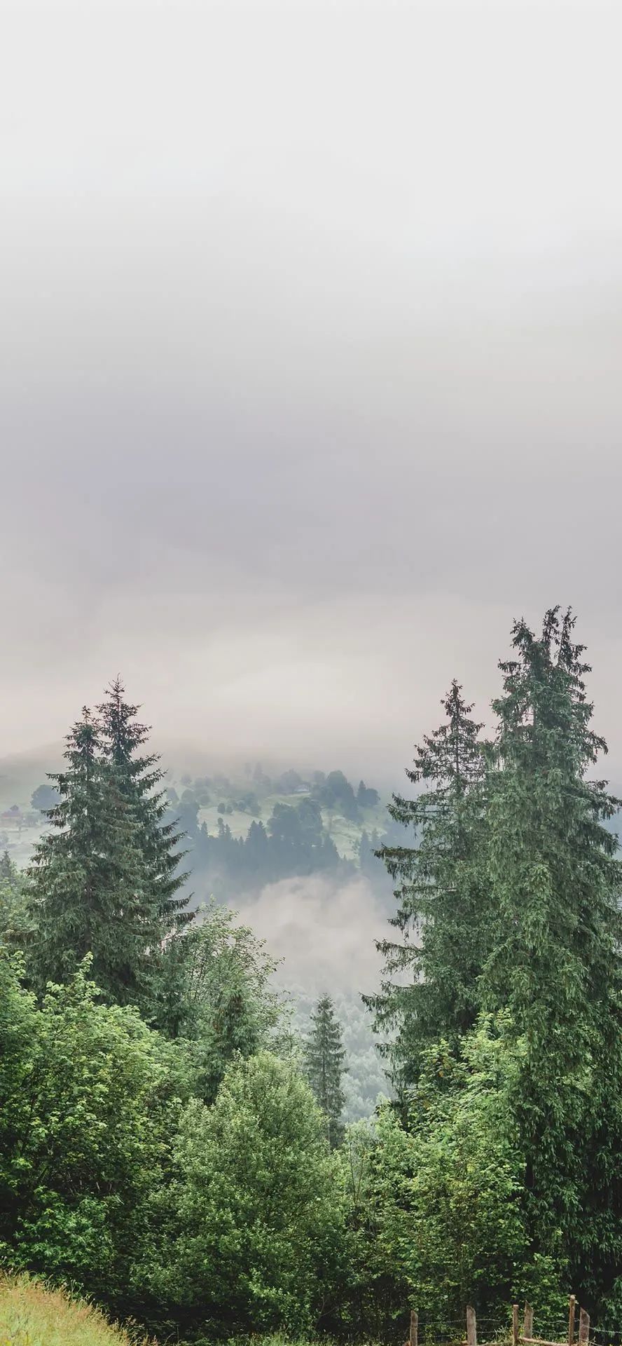 壁纸超清4k幸运壁纸,阴阳师壁纸动态壁纸高清全屏90帧