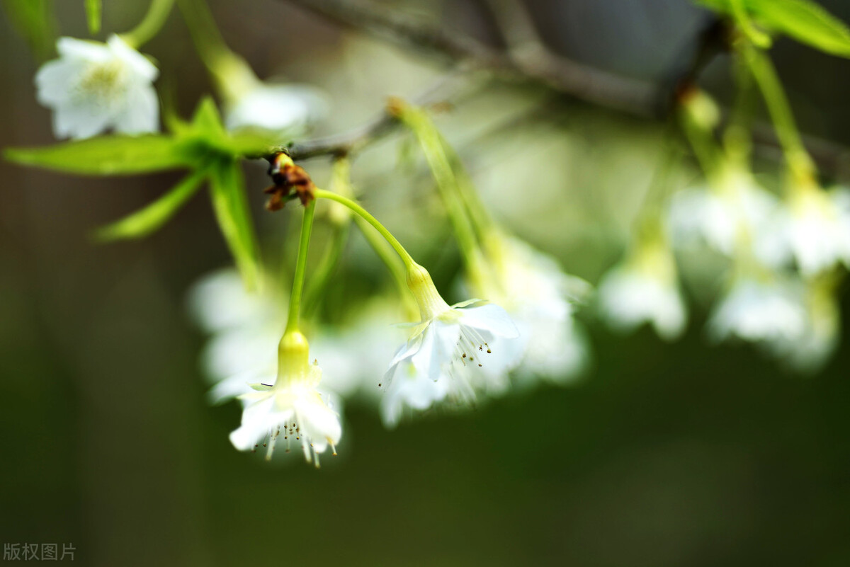 烧心反酸胃胀腹胀,经常烧心反酸而且大便很稀