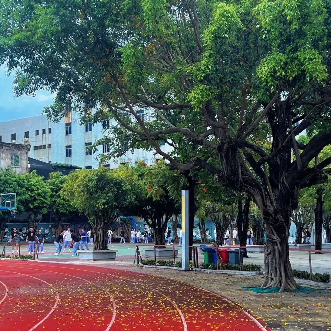 微信朋友圈背景图高级氛围感,朋友圈背景图看置顶