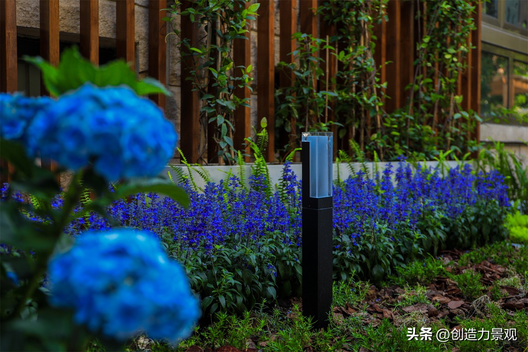 夏季好养的花卉有哪些,夏季的常见花卉有哪些