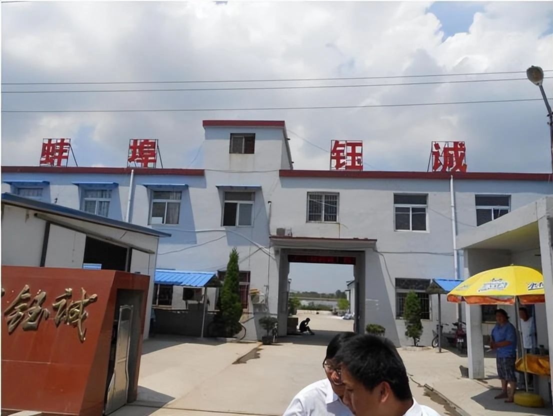 丁宁是如何一步一步发展起缅北的,e租宝丁宁是在缅北抓的吗