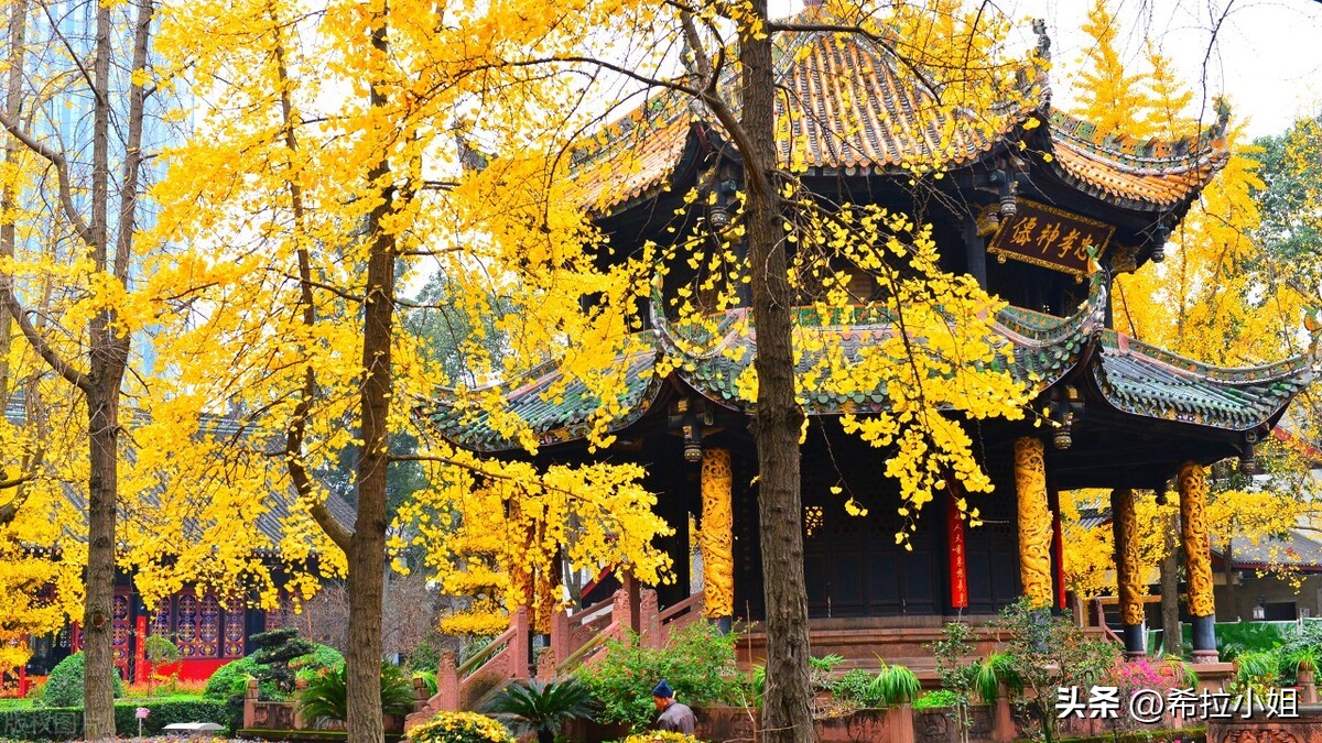 成都到乐山途中有哪些旅游景点,四川成都附近的旅游景点有哪些