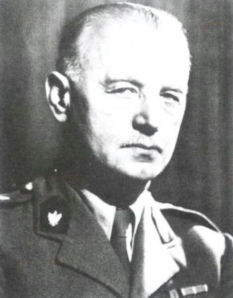 漂泊的鱼完整版,漂泊的鱼鹰