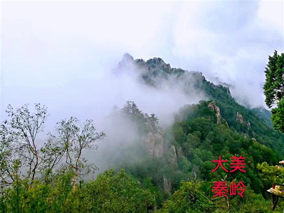 秦风,秦岭远古时代是海洋吗