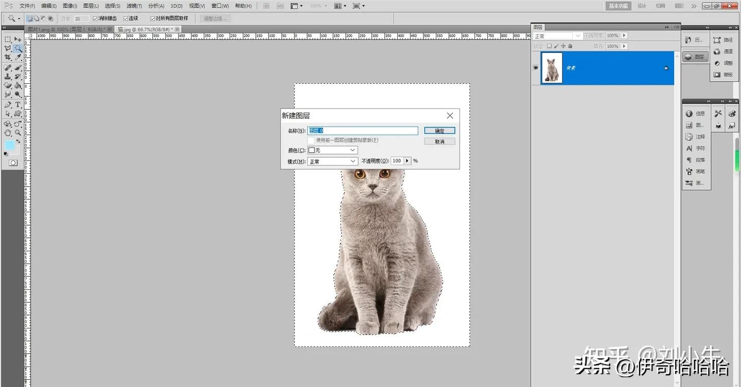 photoshop第一课魔棒工具,ps入门基础教学套索工具