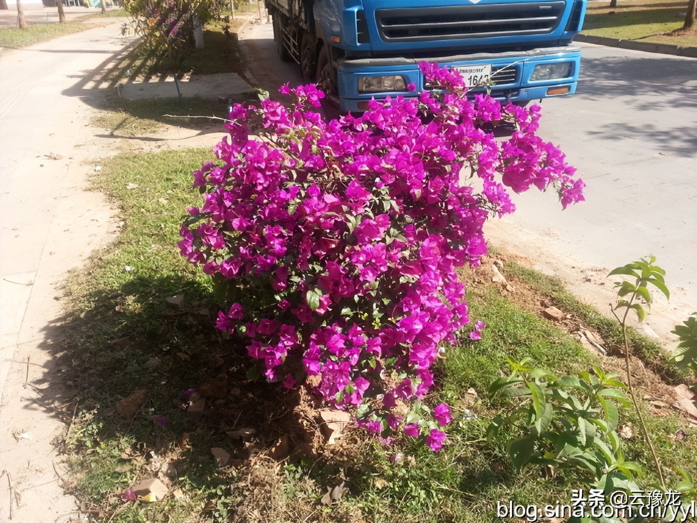 西双版纳磨憨自驾游攻略,自驾游云南版纳旅游攻略