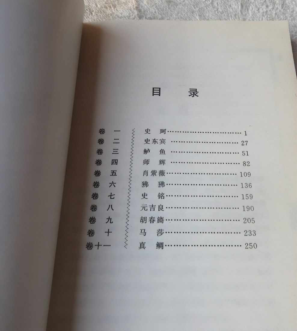 张炜小说《外省书》故事梗概：难以理喻的混乱故事