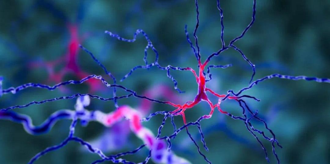 人类大脑为什么越来越厉害,你知道人类大脑的容量有多大