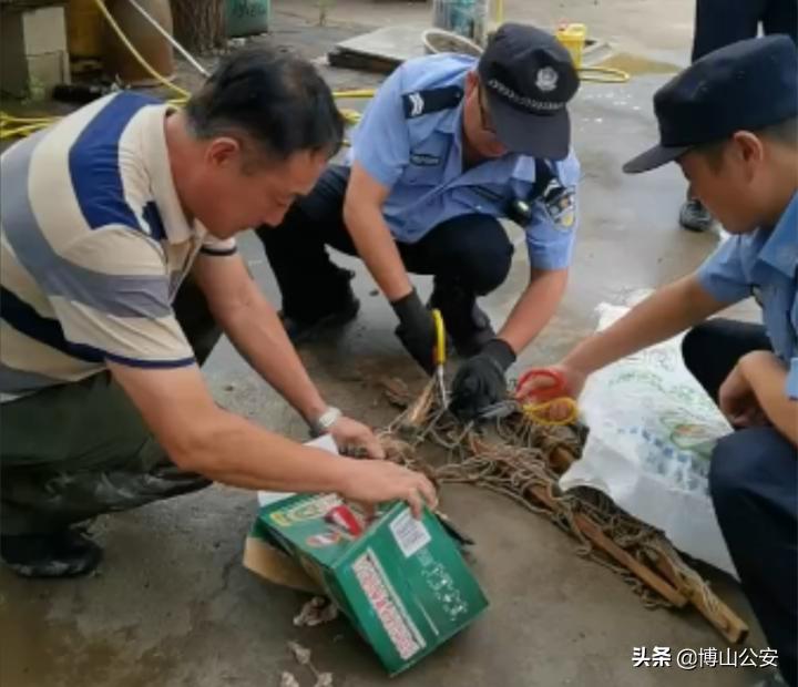 受伤严重凶猛依旧！博山警方及时救治一只国家二级保护动物