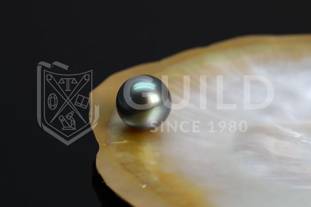 珍珠guild证书怎么看,大溪地黑珍珠鉴定证书
