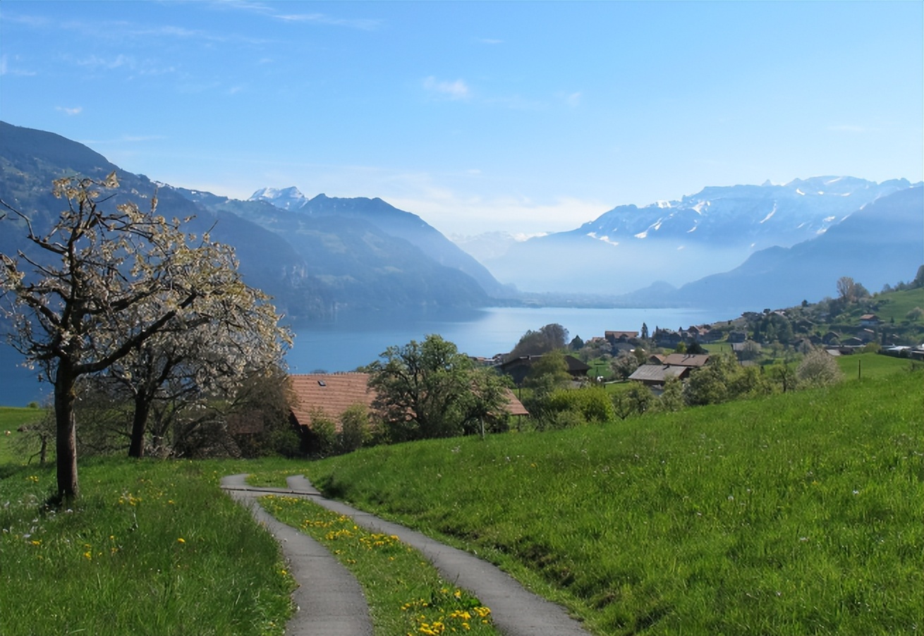 村庄规划需要注意哪些问题,村庄规划项目怎么做