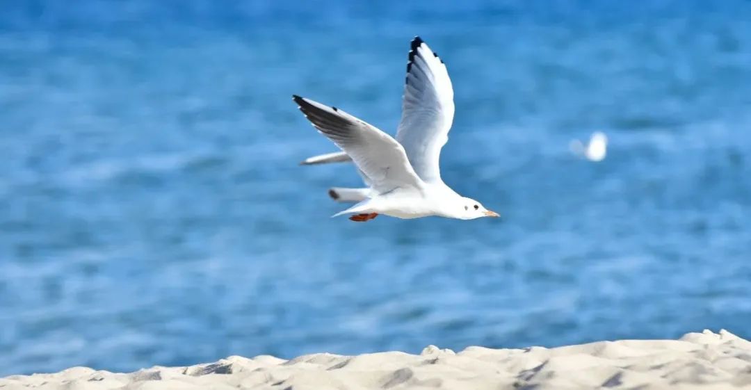 为什么孩子减负越减越重,怎样才能真正为孩子减负