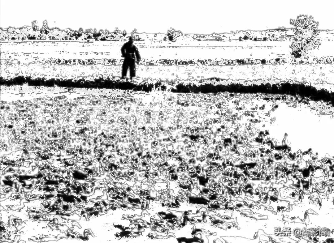 胜芳记忆——我在胜芳的一段生活和学习经历