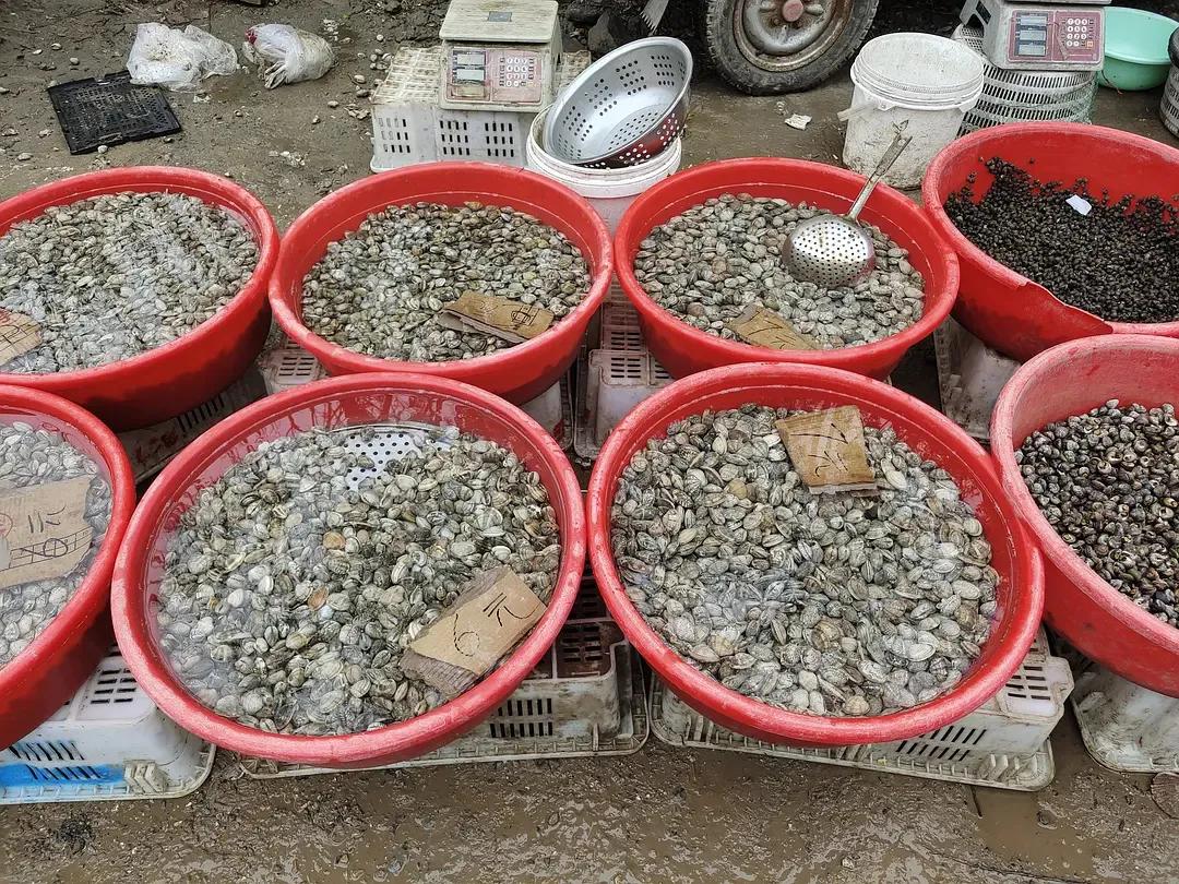 烟台水果物价,烟台地区最新的水果价格