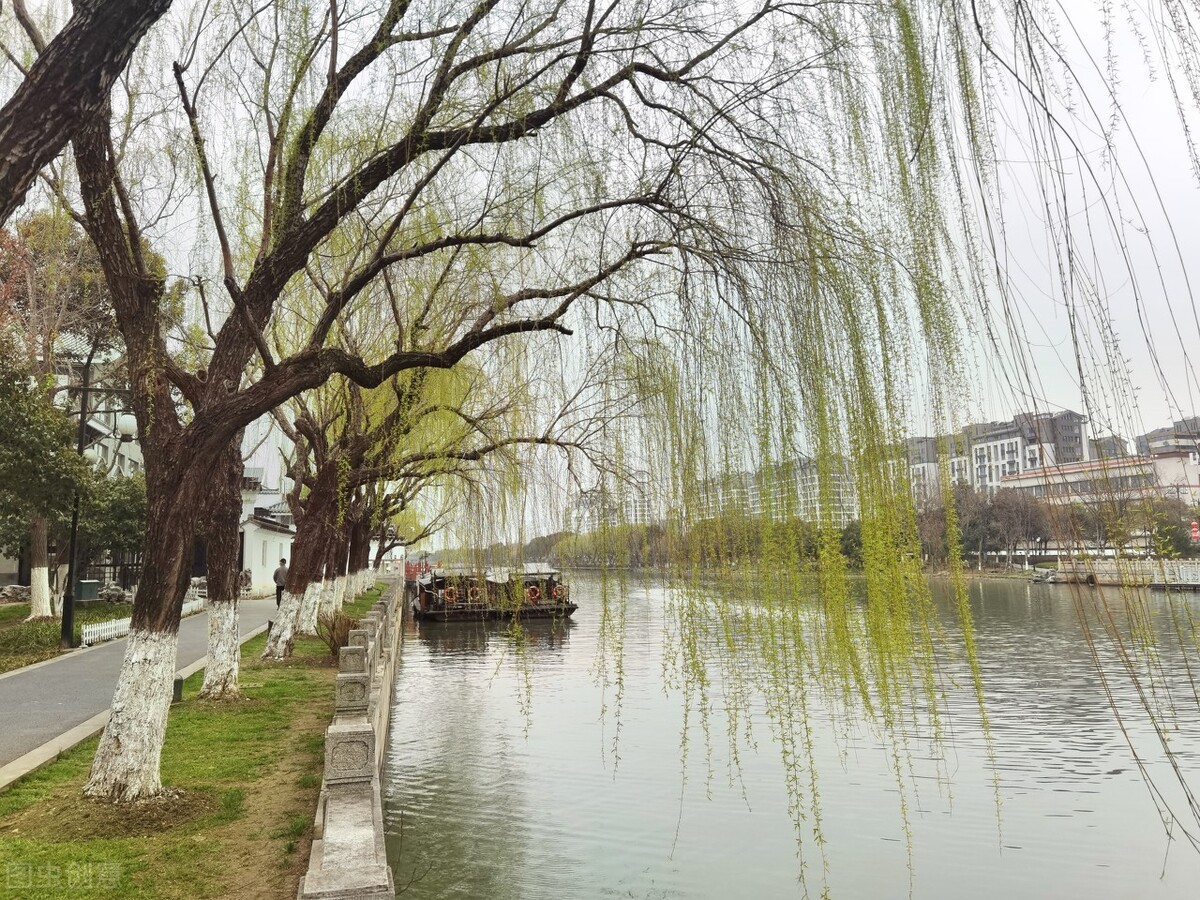 风吹杨柳万千条选段,风吹杨柳万千条指什么生肖