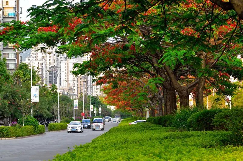 西双版纳和大理房价对比,西双版纳和海南的房价哪个好