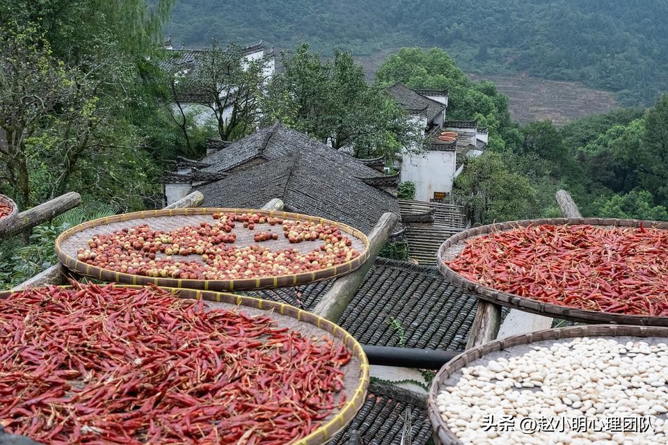 初中成绩退步家长该怎么沟通,孩子上学哭了一个月怎么办