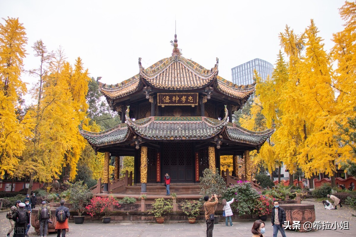 成都到乐山途中有哪些旅游景点,四川成都附近的旅游景点有哪些