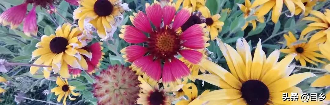 干部提前退休审批,退休人员可以返聘领导岗位吗