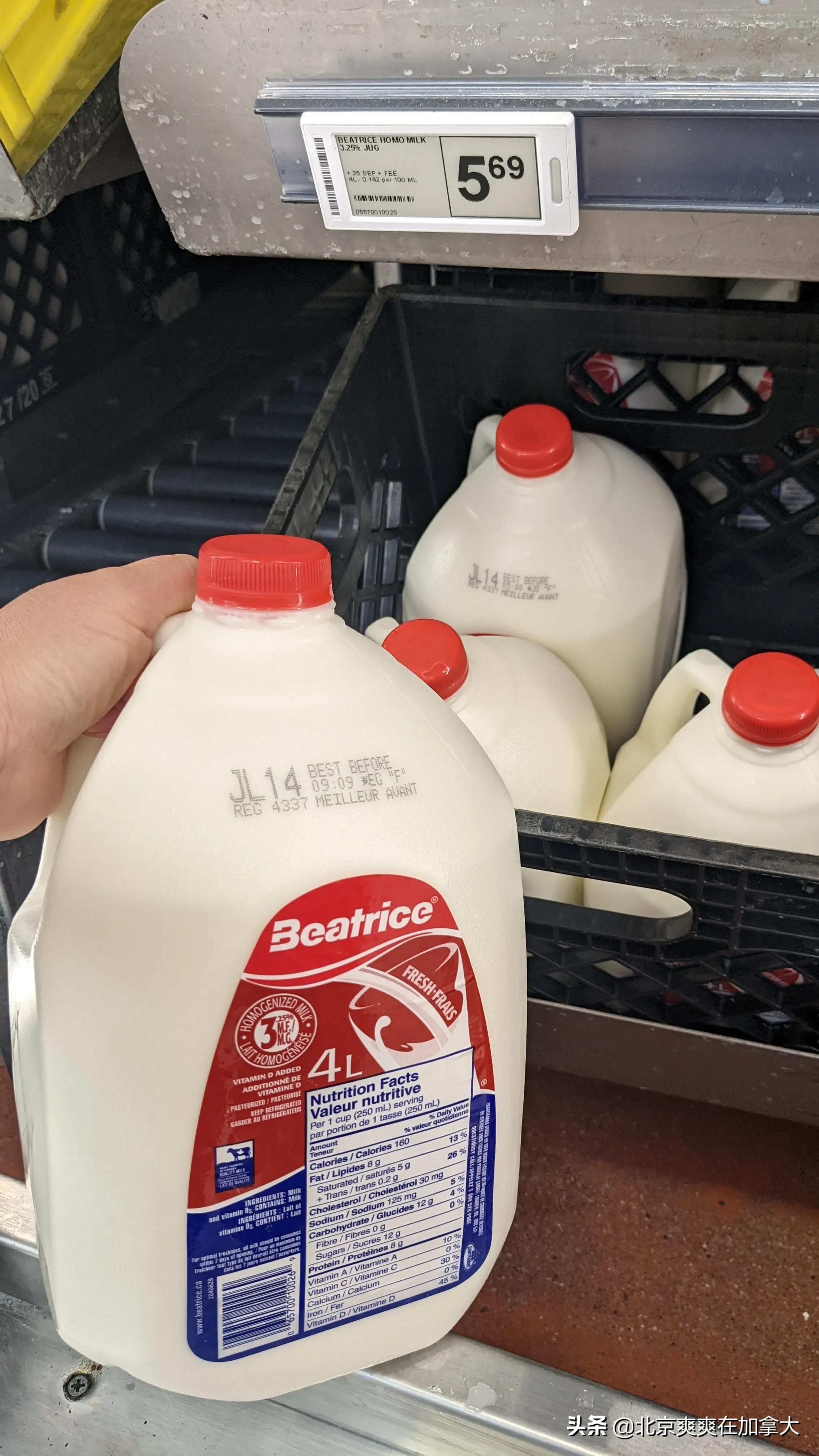 加拿大城市物价排行,去外国人的超市里买东西