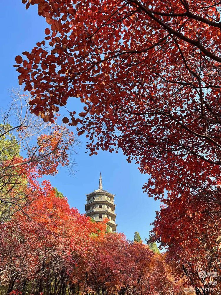 暮秋雅阁微刊第十八期