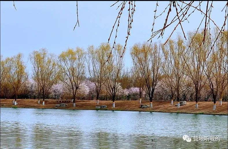 捞小河里的小蝌蚪,上海抓小蝌蚪的公园