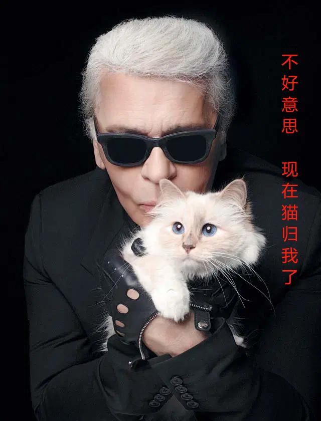 刘雯邓文迪,邓文迪杨紫琼