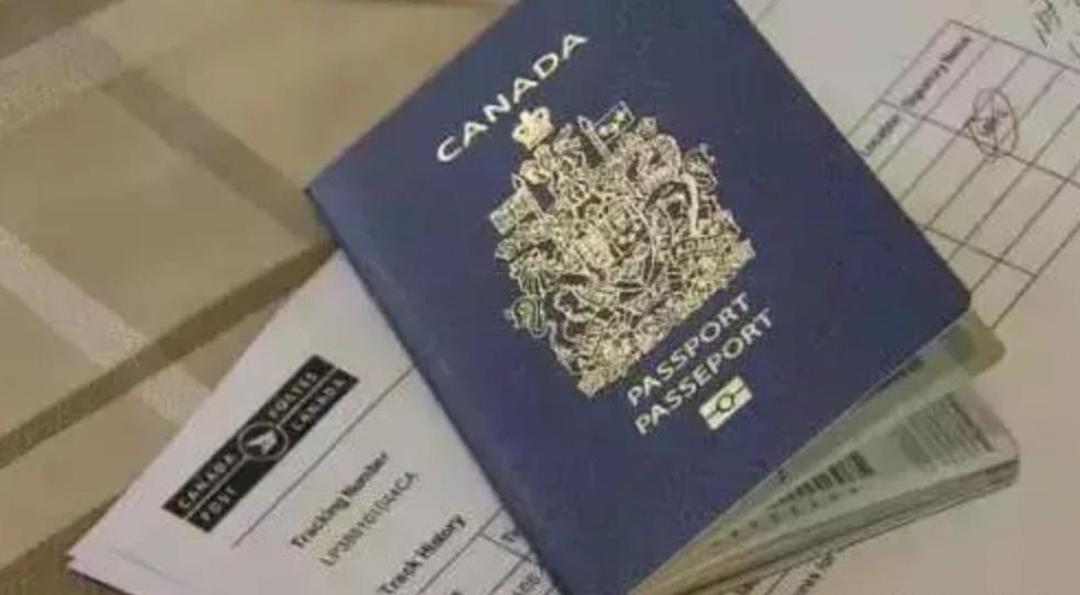 清华移民刷油漆跳桥,清华博士移民北美刷油漆