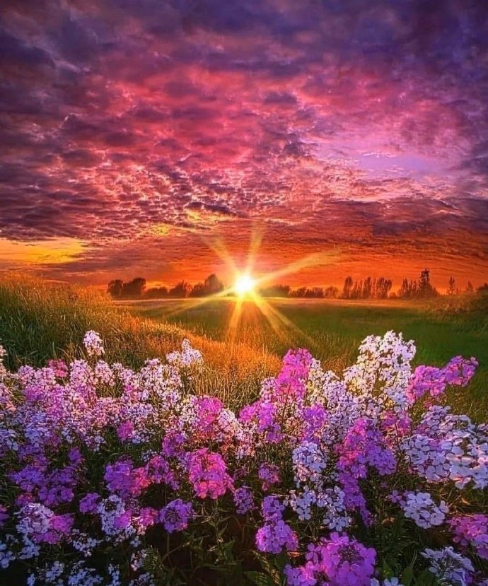 注意微信朋友圈这些内容千万别发,切记这些东西不能发到朋友圈