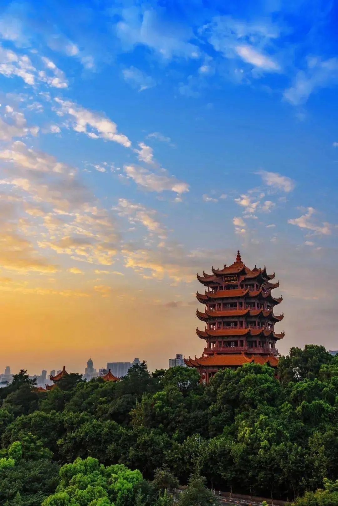 湖北茶的特点,楚国茶文化