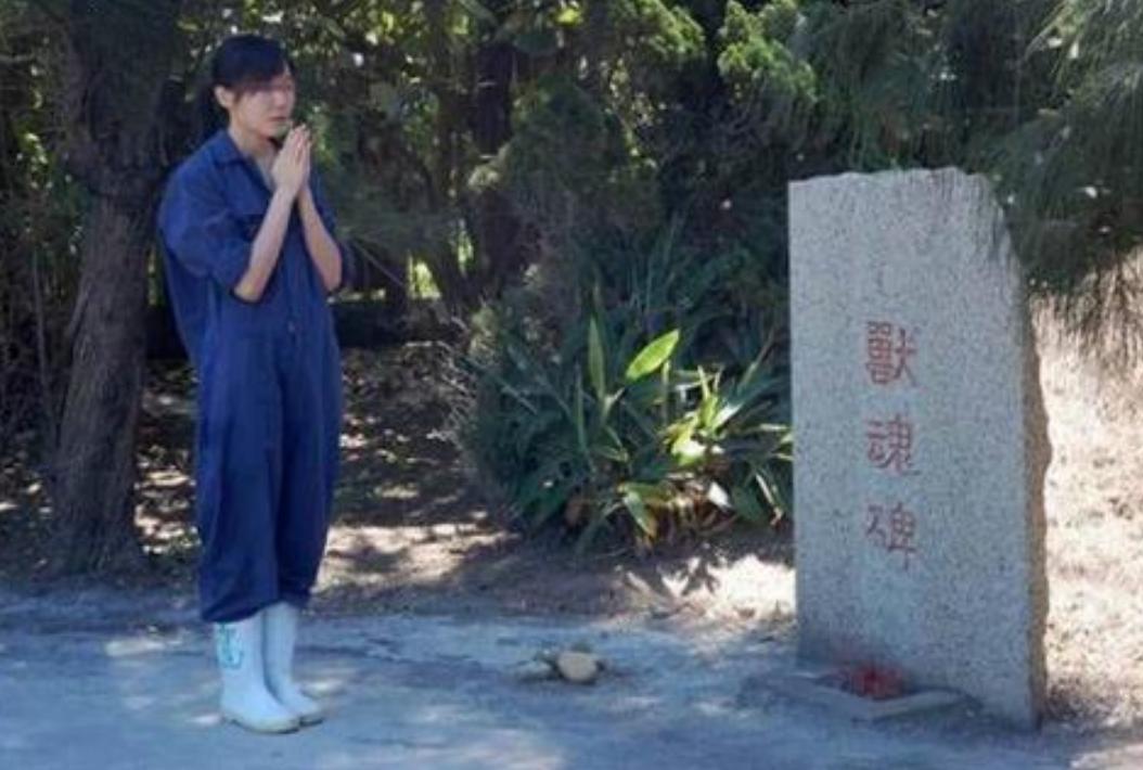 女孩给流浪狗安乐死,台湾女子给狗狗安乐死