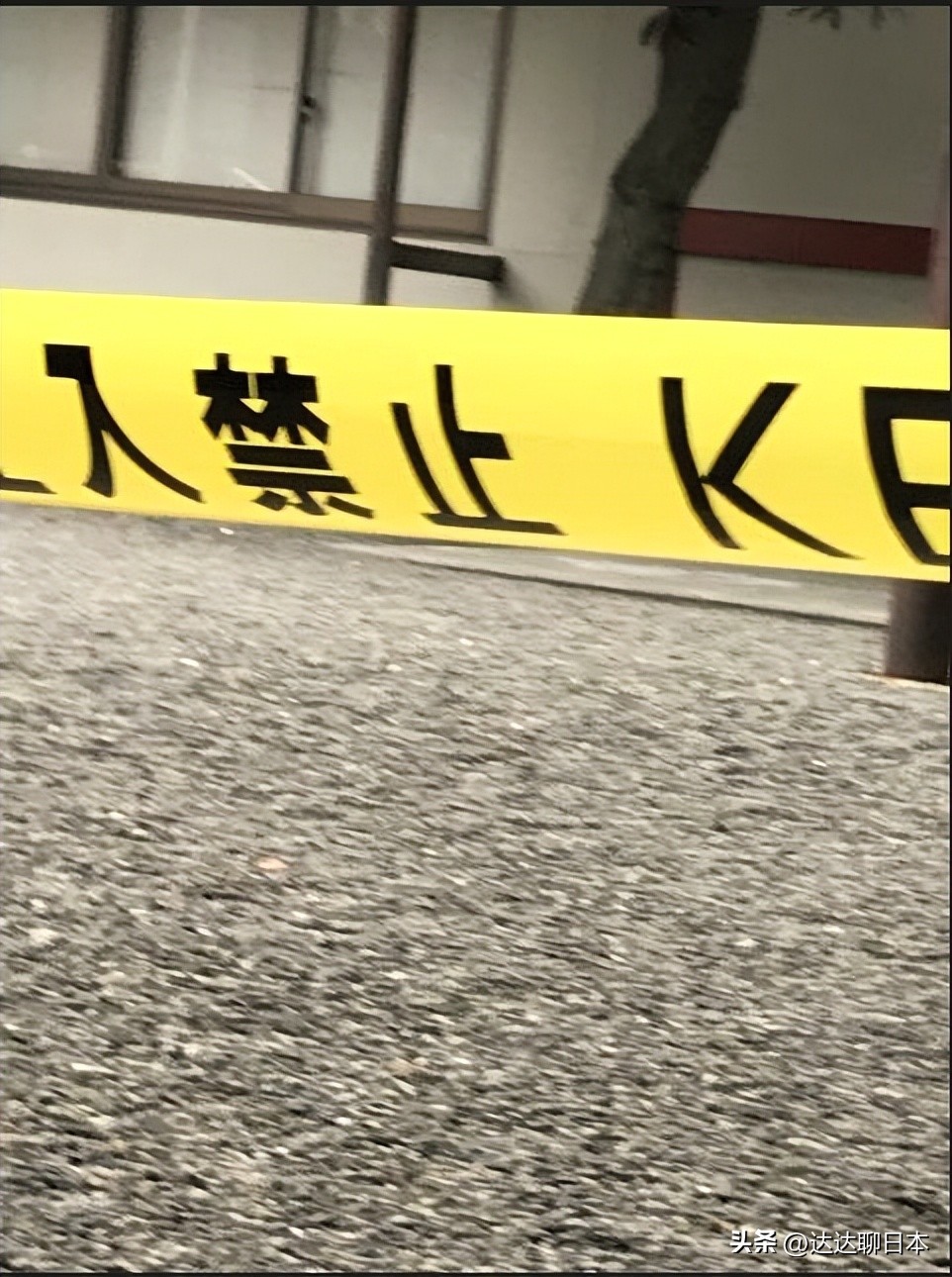 绫濑水泥杀人案女死者身份,绫濑水泥杀人抛尸案