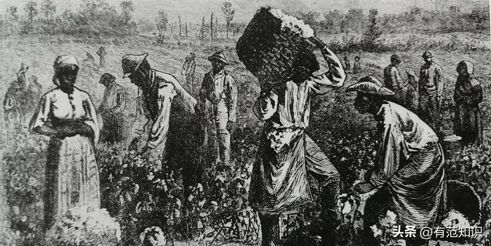 论尼罗河对埃及的影响,有关奴隶制度的文献综述