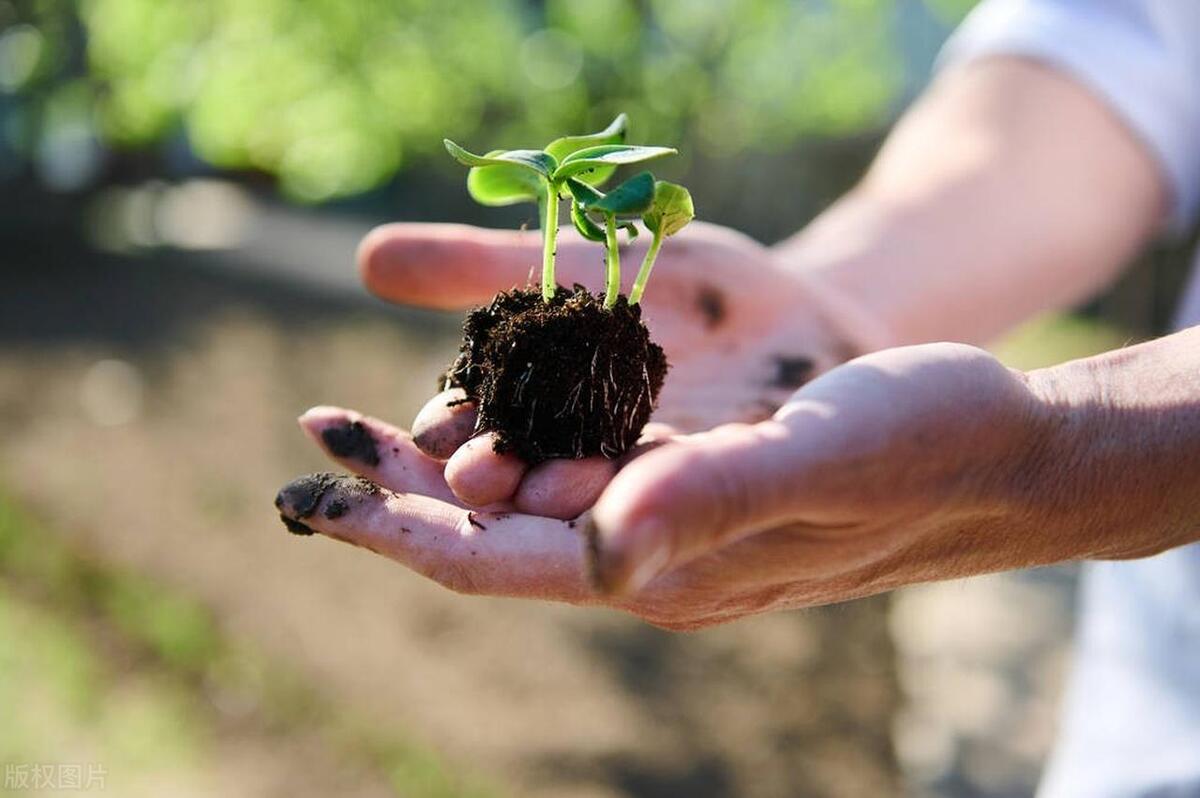 生态农业新模式,达州生态农业互联网平台