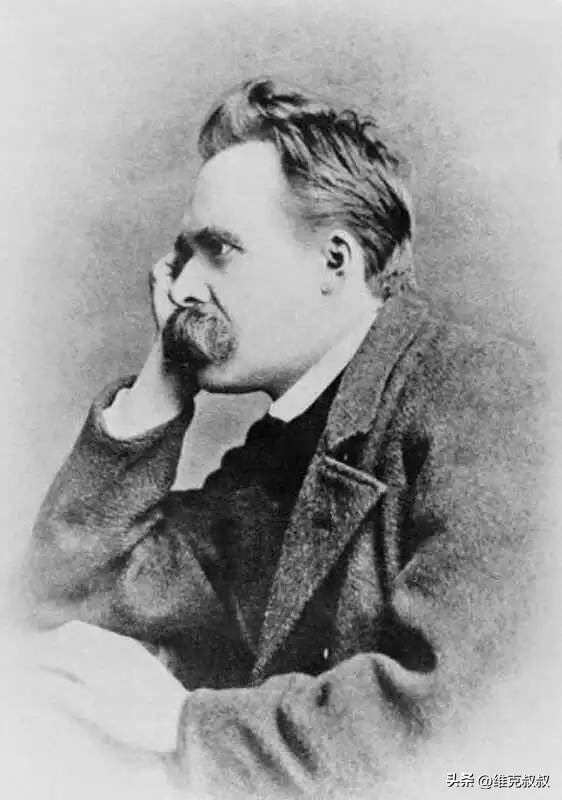 每一片树叶都有独一无二的纹理,每一片树叶都是独一无二