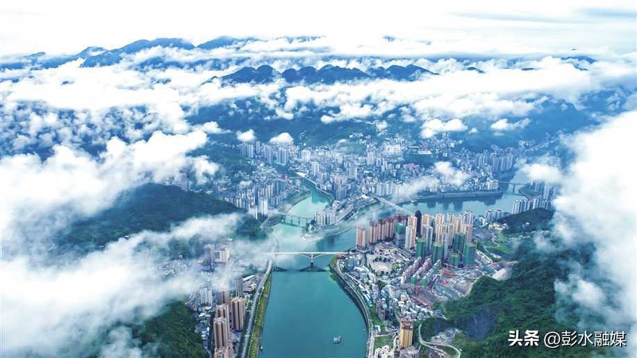 重庆日报特刊聚焦彭水：“九苗”归一兴苗乡“三品”合璧强产业