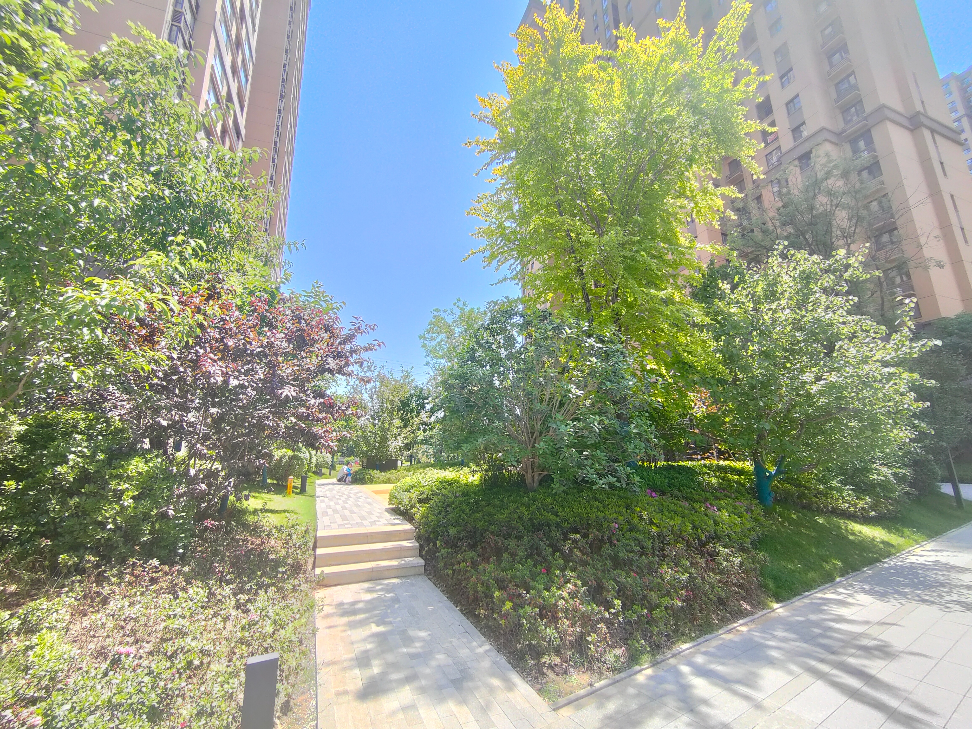 西安曲江三迪枫丹北门最新动态,曲江三迪枫丹最新视频