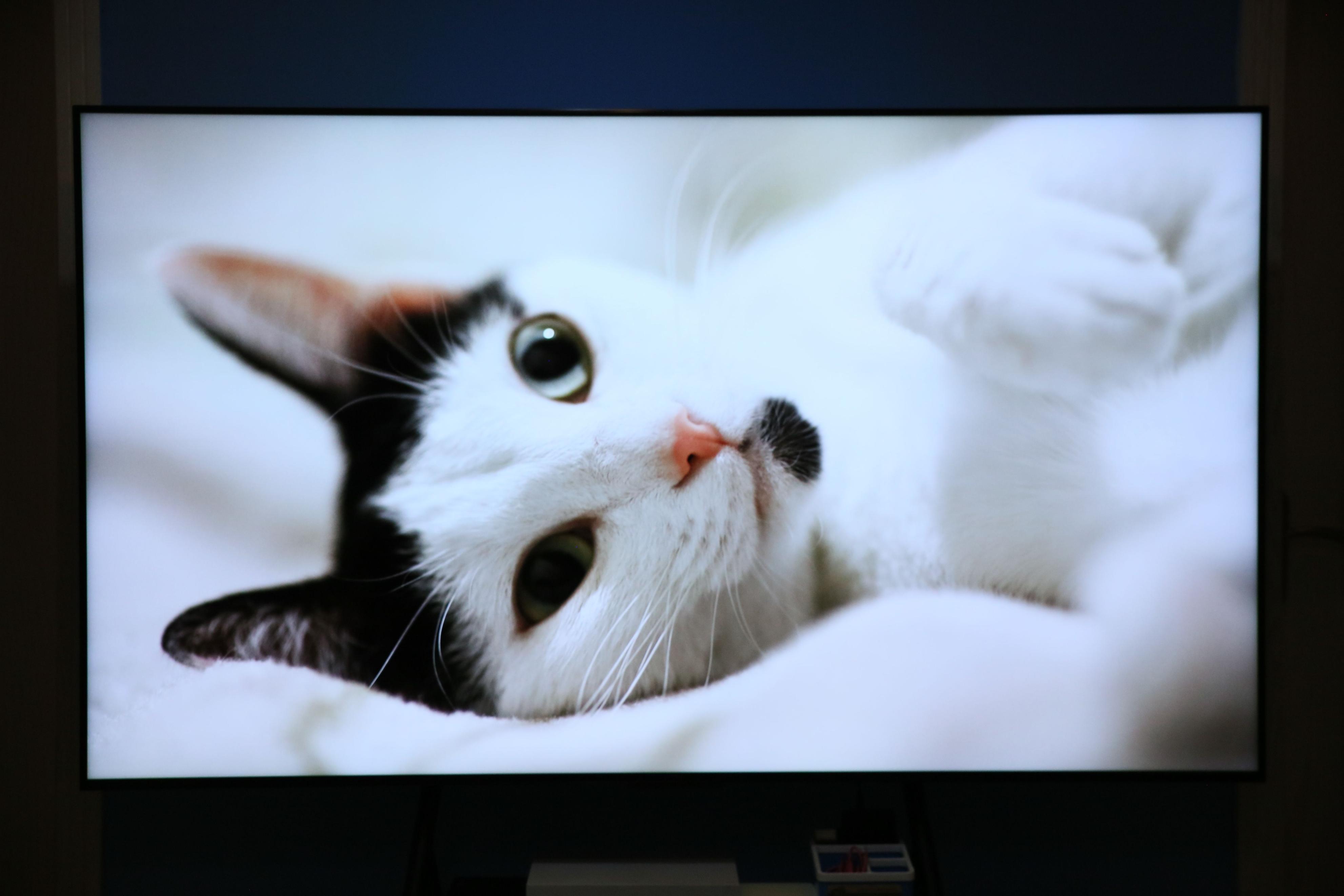 推荐一款性价比高的tcl电视,2023年热销的tcl电视