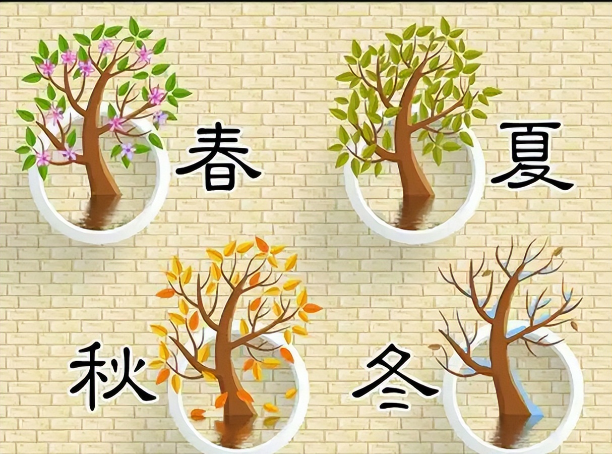 床上螨虫怕的不是“暴晒”？教你卧室放点“它”，螨虫消失了