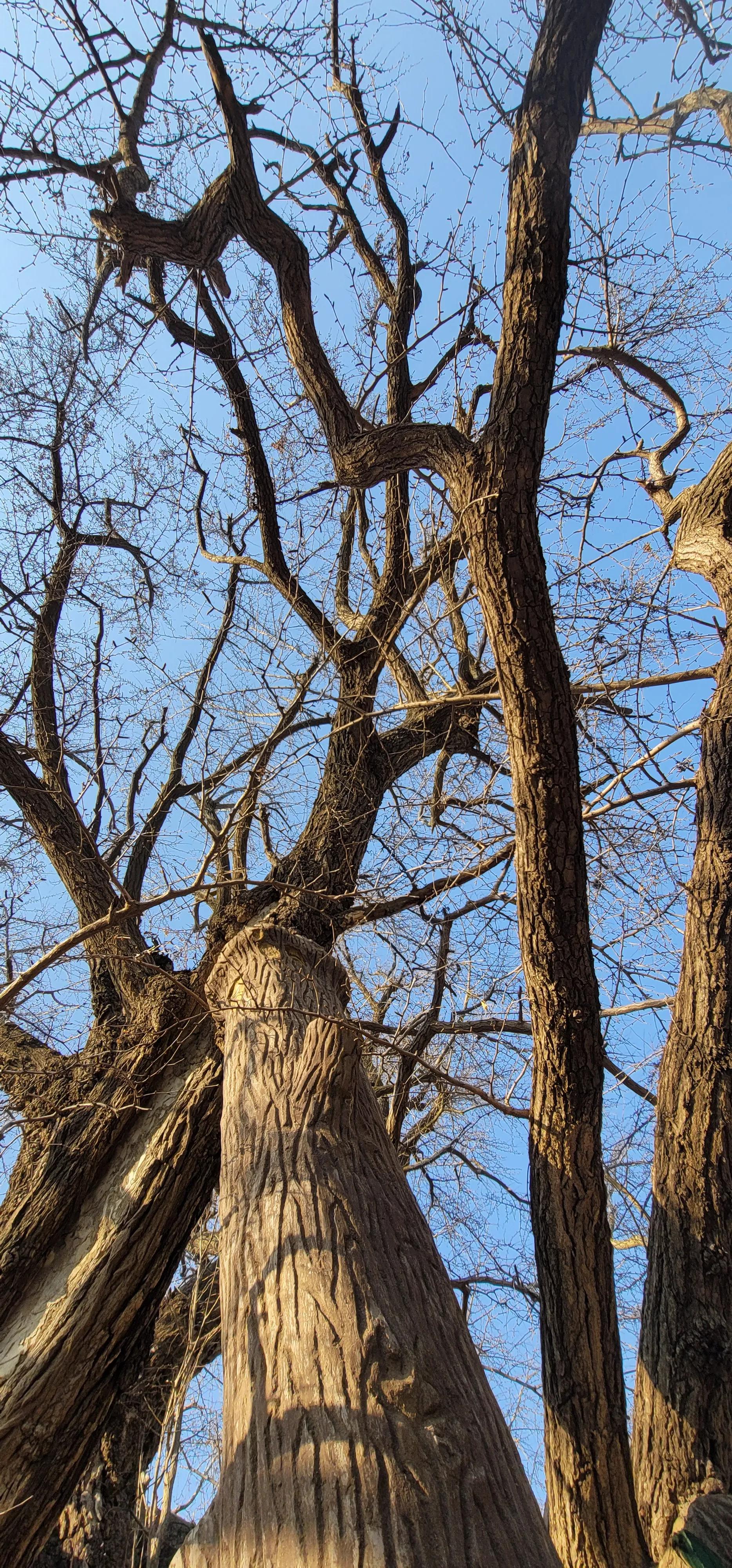 开着沪牌回老家怎么样,开着大巴玩转江浙沪