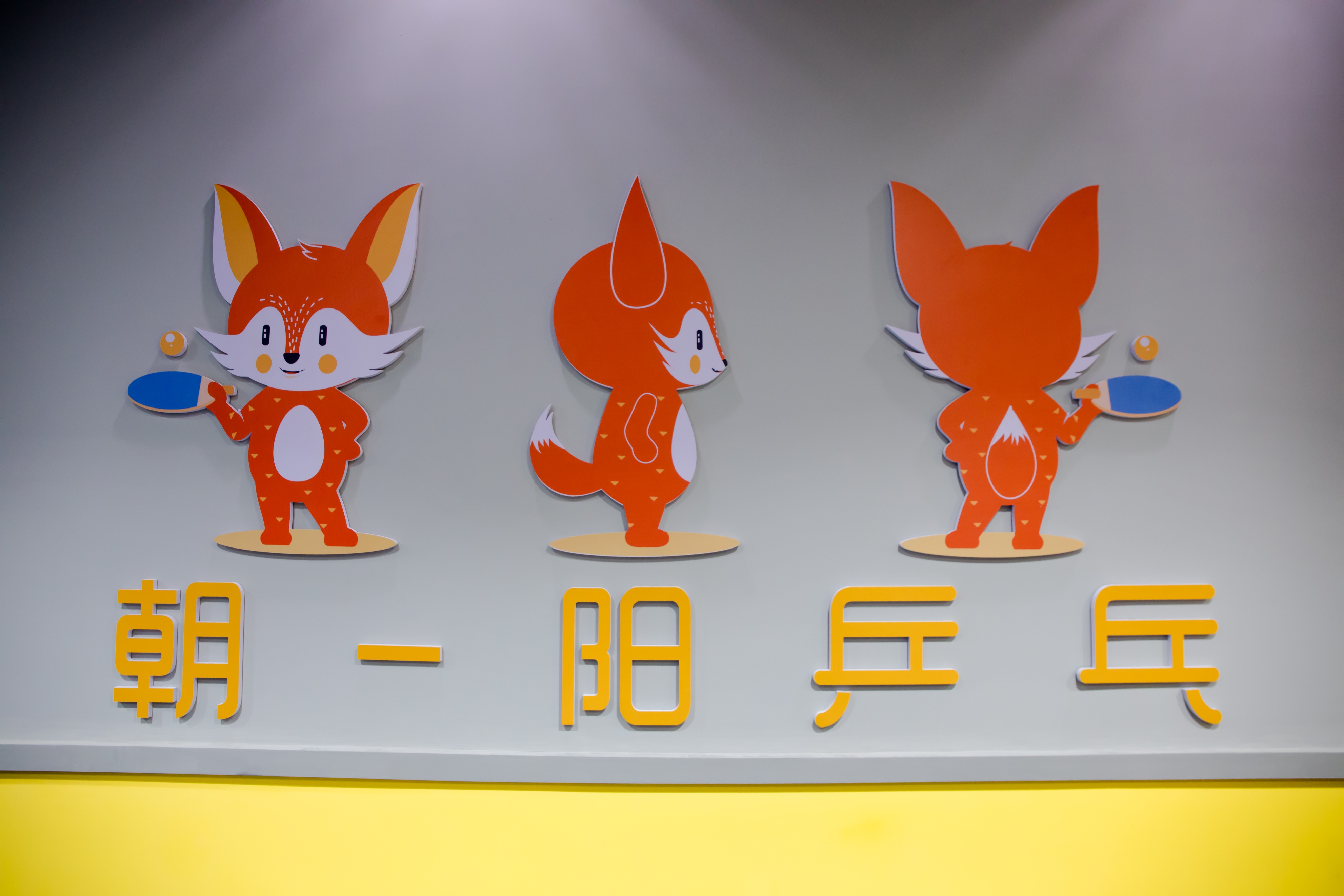 乒乓球丹羽孝希发球技巧教学,乒乓球发球手指手腕的用力技巧