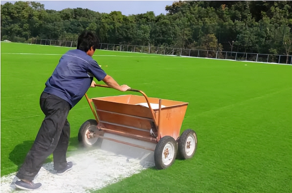 草坪干枯还能活多久,草坪变黄还有救吗