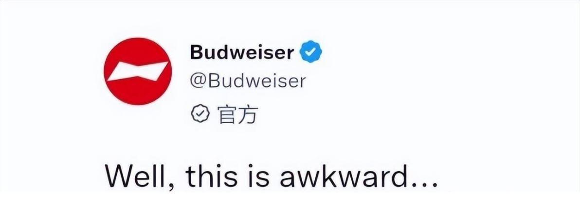 中国白酒世界杯,世界杯热门白酒