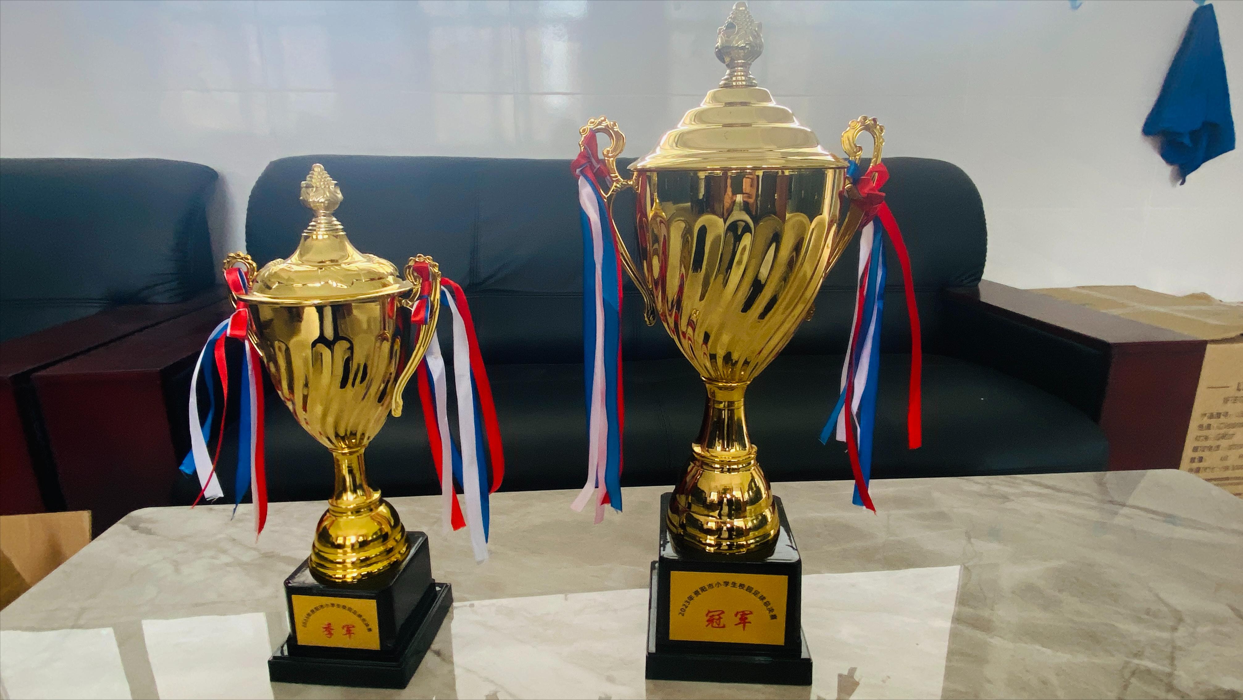 喜讯：硕果累累，载誉而归