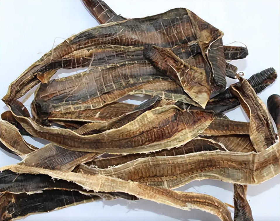 地龙进口需要的资料,越南进口地龙干怎么报关