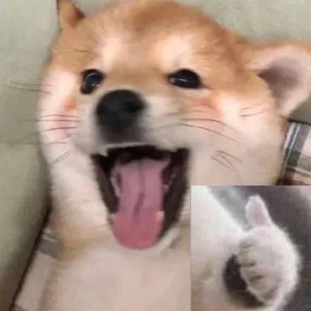 你能拿我怎样表情包自取,表情包你能拿我怎么样