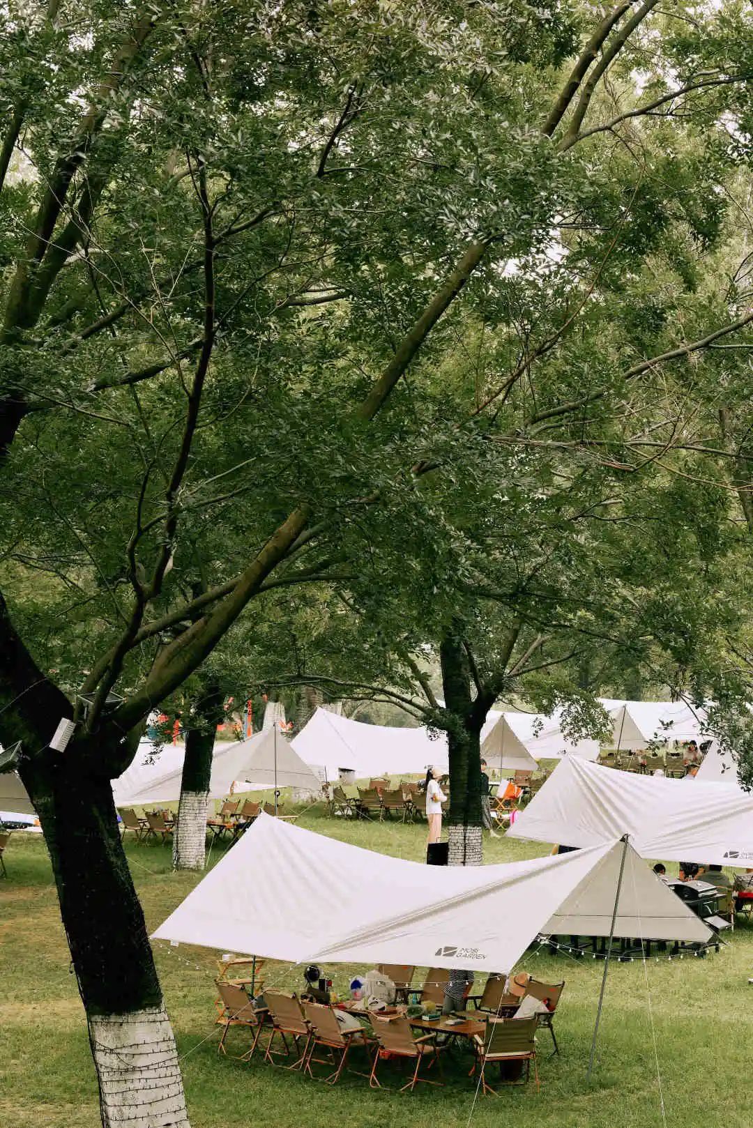 秀丽东方最新版,秀丽东方最新视频